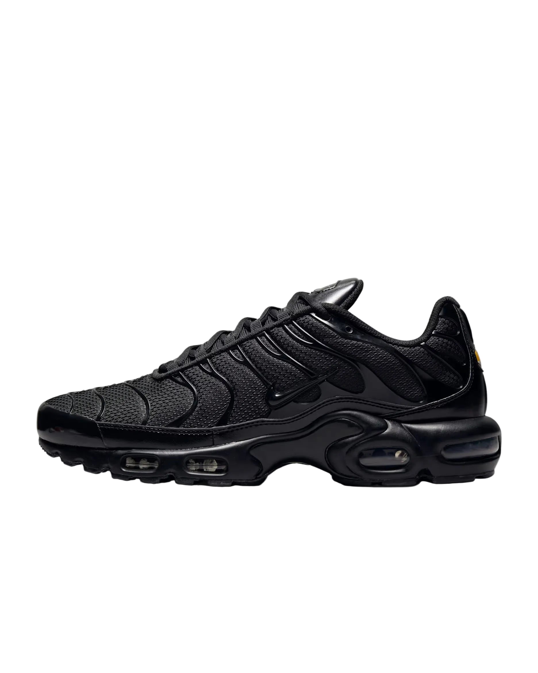 Nike Air Max Plus Triple Black
